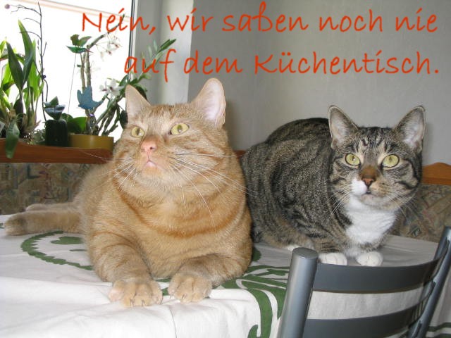 Rudi und Nelli